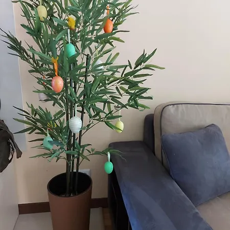 Apartament Terra Complex -d6 - Balkan Private Apartment-spa Sking Golf And Relax Razlog