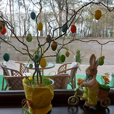 Terra Complex -d6 - Balkan Private Apartment-spa Sking Golf And Relax Apartament