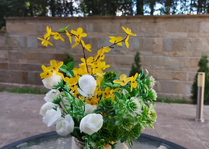 Terra Complex -d6 - Balkan Private Apartment-spa Sking Golf And Relax * רזלוג