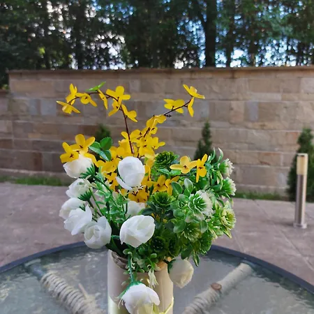 Terra Complex -d6 - Balkan Private Apartment-spa Sking Golf And Relax * Razlık